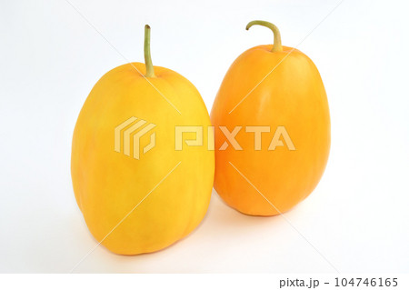 マクワウリ（真桑瓜） 104746165