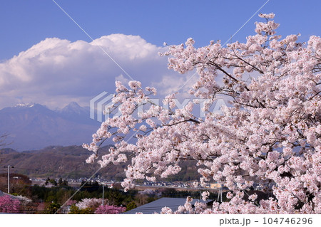 山梨県韮崎市神山町鍋山　川沿いの桜並木と八ヶ岳の景色 104746296