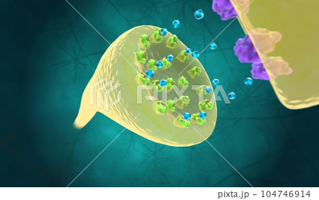 The Low Dopamine (Neurotransmitter) Transmission The Low Dopamine (Neurotransmitter) Transmission 104746914