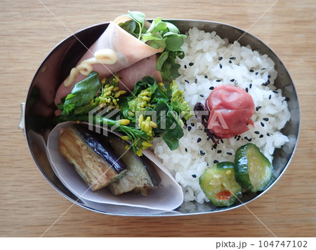 カイワレハム巻き、茄子の煮浸し、菜の花のお浸しのお弁当 カイワレハム巻き、茄子の煮浸し、菜の花のお浸しのお弁当 104747102