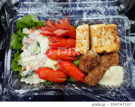 使い捨て容器のお弁当 使い捨て容器のお弁当 104747107