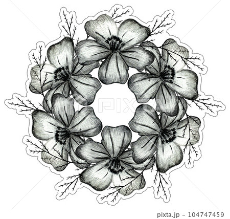 Black and White Hand Drawn Marigold Flower Round Composition. Black and White Hand Drawn Marigold Flower Round Composition. 104747459