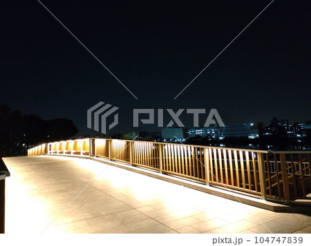 公園にかかる光りの橋 104747839