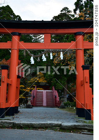 秋の丹生都比賣神社 104747886