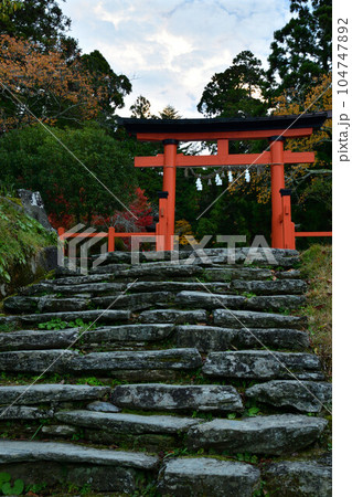 秋の丹生都比賣神社 104747892