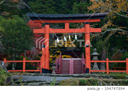 秋の丹生都比賣神社 秋の丹生都比賣神社 104747894