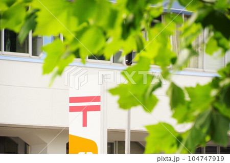 郵便イメージ　郵便局の看板と街路樹 104747919