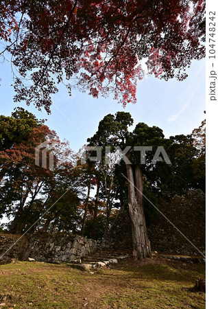 秋の高取城跡 104748242