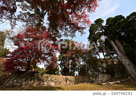 秋の高取城跡 104748291