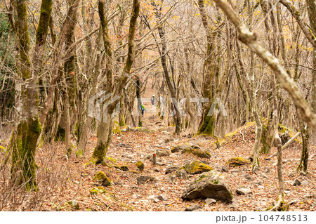 那岐山 尾根道から見た晩秋の縦走コース 岡山県勝田郡奈義町 那岐山 尾根道から見た晩秋の縦走コース 岡山県勝田郡奈義町 104748513