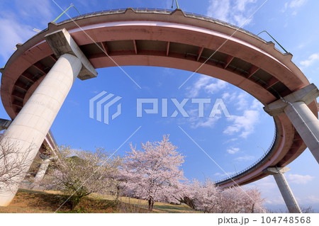 山梨県南アルプス市曲輪田新田　桃花橋ループと桃花橋公園の満開のソメイヨシノの景色 104748568