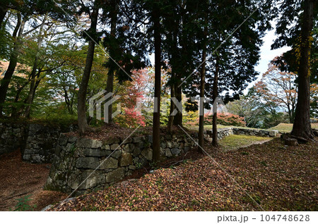 秋の高取城跡 秋の高取城跡 104748628