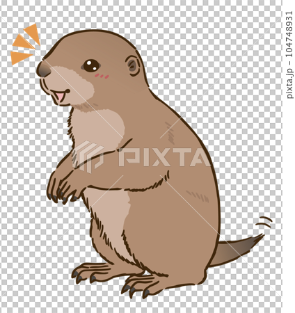 happy prairie dog 104748931