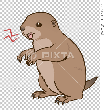 憤怒的草原土撥鼠 104748933