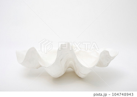 白い背景で撮った漂白されたシャコガイの殻 104748943