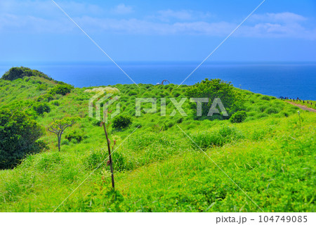 伊豆半島・南伊豆・奥石廊・ユウスゲ公園のランドマーク、出逢いの鐘の風景・静岡県南伊豆町(2) 伊豆半島・南伊豆・奥石廊・ユウスゲ公園のランドマーク、出逢いの鐘の風景・静岡県南伊豆町(2) 104749085