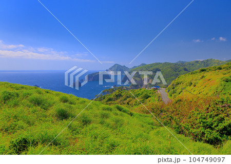 伊豆半島・南伊豆・奥石廊・ユウスゲ公園、出逢いの鐘から眺める海岸線の風景・静岡県南伊豆町(1) 104749097