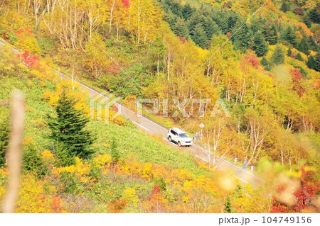 秋のドライブイメージ　紅葉の八幡平アスピーテライン 104749156