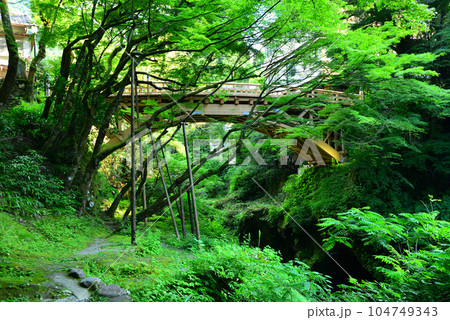鶴仙渓とこおろぎ橋(石川県加賀市山中温泉) 鶴仙渓とこおろぎ橋(石川県加賀市山中温泉) 104749343