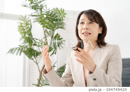 ビジネス　女性　対談 104749420