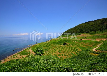 白米千枚田(石川県輪島市) 白米千枚田(石川県輪島市) 104749455
