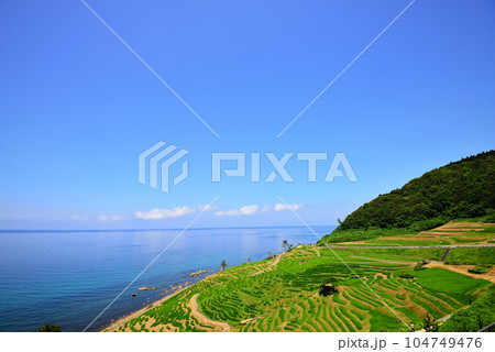 白米千枚田(石川県輪島市) 白米千枚田(石川県輪島市) 104749476