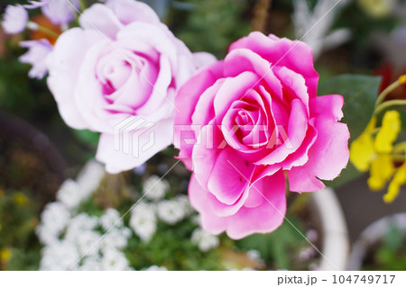 華やかなバラの花 オールドレンズ 華やかなバラの花 オールドレンズ 104749717
