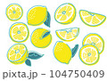フレッシュなレモンのイラスト 104750409