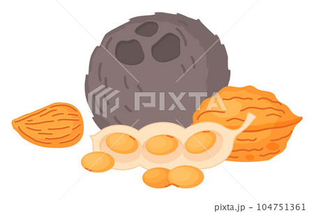 Set of nuts walnut, coconut, almond, soybean pod, natural organic products for making vegan milk Set of nuts walnut, coconut, almond, soybean pod, natural organic products for making vegan milk 104751361