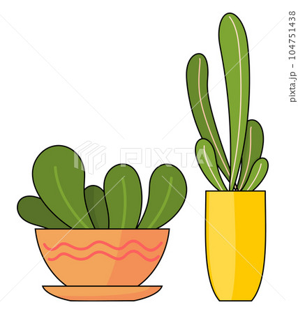 Decorative potted plants. Vector illustration of decorative green plants in pots on white bsckground 104751438