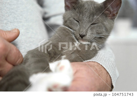 Elderly man sits and strokes a cat, feline therapy. Old man stroking a Pet cat. Happy senior male holding a cat in his lap, relaxing at home. Grandfather playing with a kitten on his wrinkled hands Elderly man sits and strokes a cat, feline therapy. Old man stroking a Pet cat. Happy senior male holding a cat in his lap, relaxing at home. Grandfather playing with a kitten on his wrinkled hands 104751743