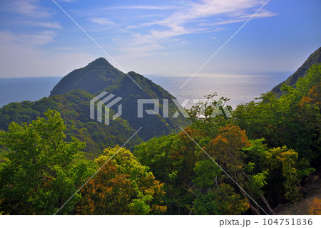 伊豆半島・南伊豆・波勝崎・野生の猿がいる波勝岬の眺め・静岡県南伊豆町(2) 104751836