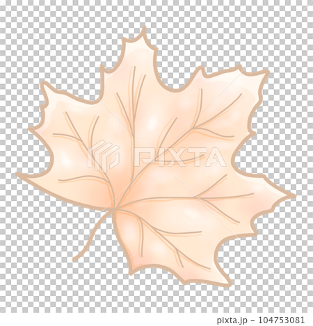 cute and sweet tone autumn illustration watercolor hand drawn 104753081