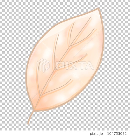 cute and sweet tone autumn illustration watercolor hand drawn 104753082