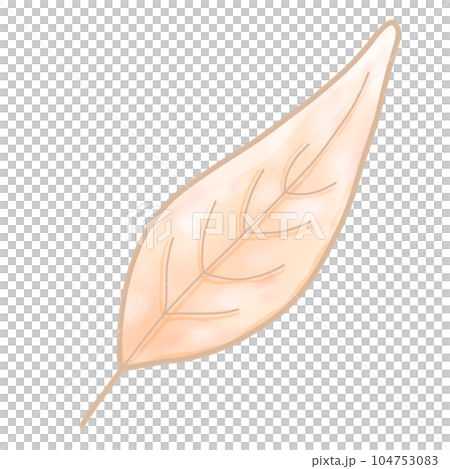cute and sweet tone autumn illustration watercolor hand drawn 104753083