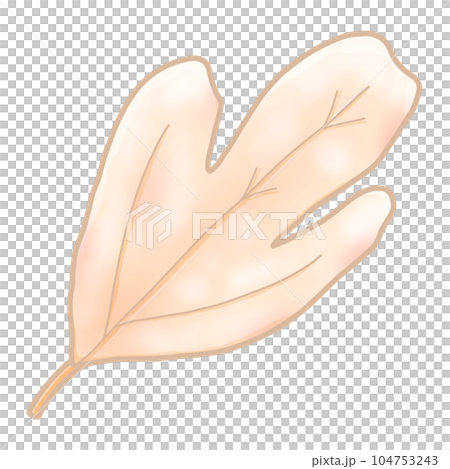 cute and sweet tone autumn illustration watercolor hand drawn 104753243
