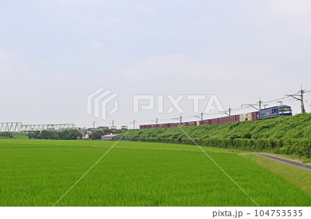 鹿島線 十二橋ー香取 JR貨物 EF210-342(吹田) 鹿島線 十二橋ー香取 JR貨物 EF210-342(吹田) 104753535