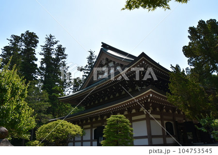 鎌倉　初夏の円覚寺 104753545