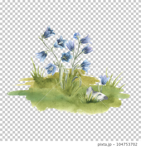 Watercolor wild flowers, hand drawn illustration of bluebells isolated on a white background. For design, invitation, decor, packaging Watercolor wild flowers, hand drawn illustration of bluebells isolated on a white background. For design, invitation, decor, packaging 104753702