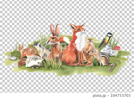 Cartoon woodland animals in meadow grass. Character fox, groundhog, rabbit, hedgehog, tit bird in green composition. Watercolor forest wildlife natural for childish design. stickers, decor 104753703