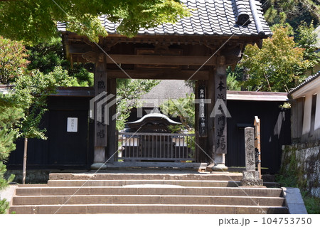 鎌倉　初夏の円覚寺  104753750