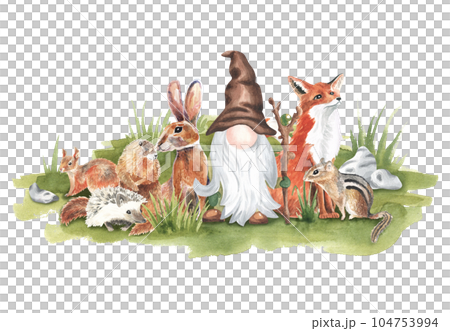 Forest gnome standing on grass with woodland animals: fox, hair,squirrel, chipmunk, hedgehog, groundhog. Elements on an isolated background for the design of cards, stickers. Watercolor illustration . 104753994