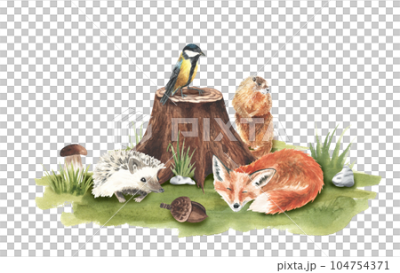 Cartoon woodland animals in meadow grass. Character fox, groundhog, rabbit, hedgehog, tit bird in green composition. Watercolor forest wildlife natural for childish design. stickers, decor Cartoon woodland animals in meadow grass. Character fox, groundhog, rabbit, hedgehog, tit bird in green composition. Watercolor forest wildlife natural for childish design. stickers, decor 104754371
