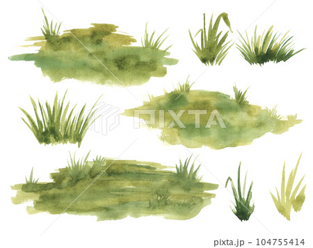 Watercolor green grass isolated on white background. Hand drawn illustration. 104755414