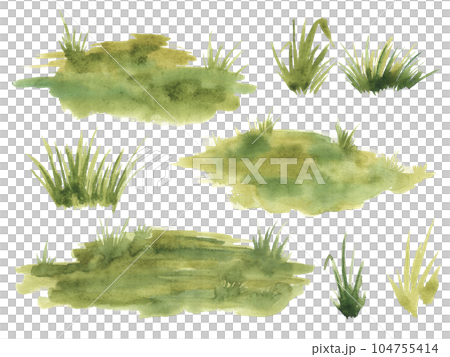 Watercolor green grass isolated on white background. Hand drawn illustration. 104755414