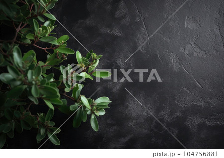 Concrete black texture wall and the branch. Background with distressed grunge texture. Generative AI 104756881