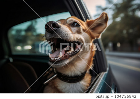 Happy dog riding in the car with its head out the window, enjoying the fresh air and feeling the breeze on its face. AI Generative technology. 104756942