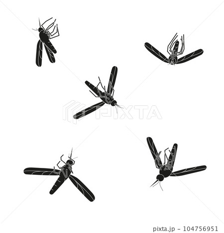 Dead mosquitoes on a white background.  104756951