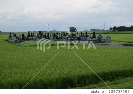 水田の中にある墓地 104757598