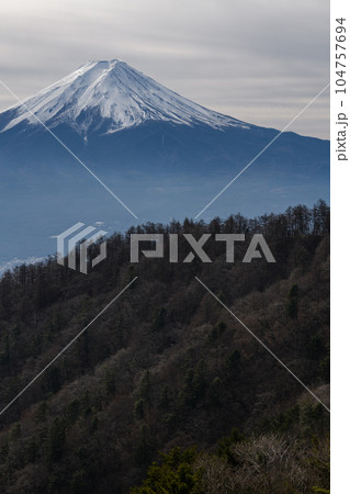 三ツ峠山からみた富士山 104757694